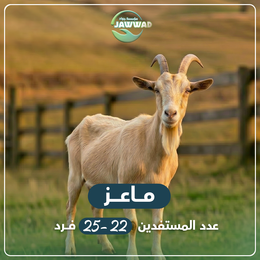 جدي