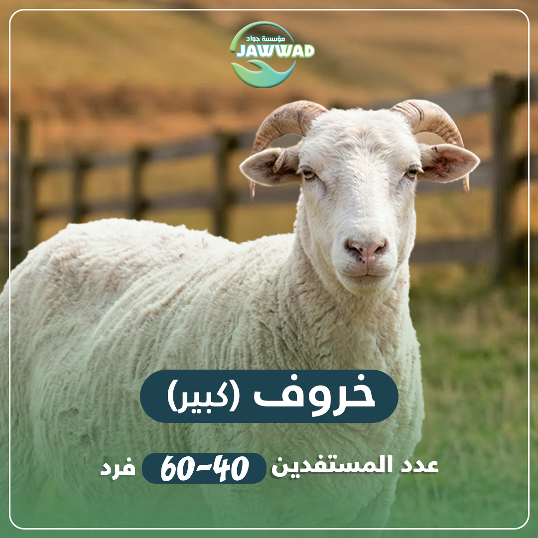 خروف