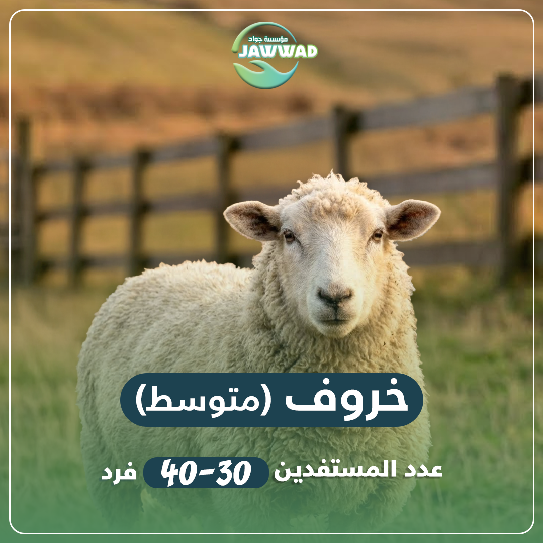 خروف